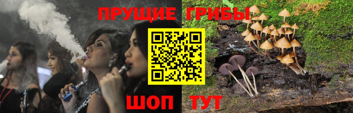 Псилоцибиновые грибы Magic Shrooms Абинск